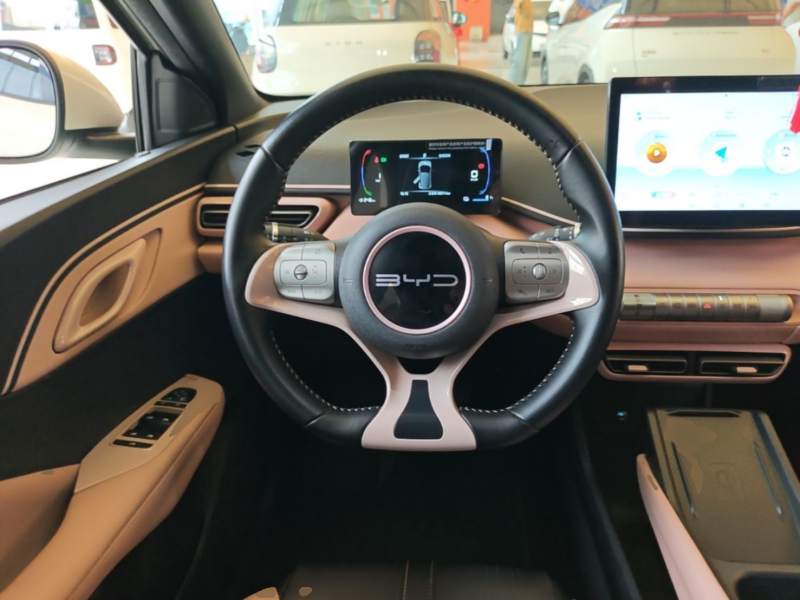 Used BYD Seagull 2023 Free Edition — 10