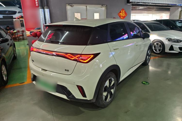Used BYD Dolphin 2024 Honor Edition 420km Freedom Version
