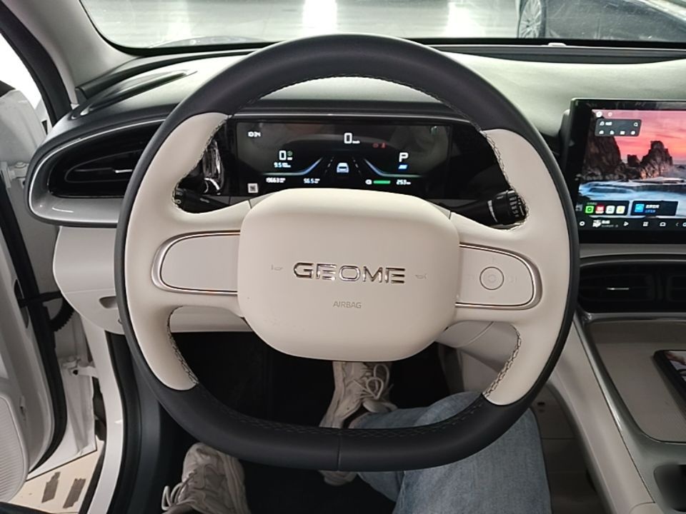Geely Galaxy Geome 2025 310km Youth Edition — снимка 13