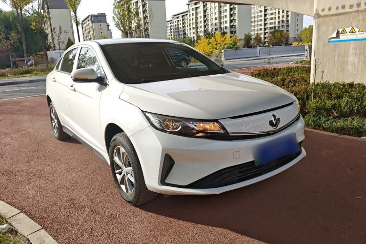 Used Livan Maple 60s 2022 Easy-Drive Version Lithium Iron Phosphate
