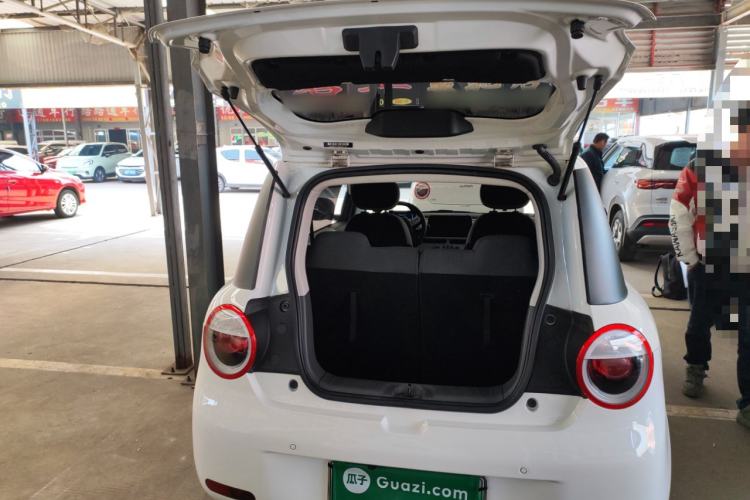 Used Qiyuan Lumin 2023 205km Xiangqin Version
