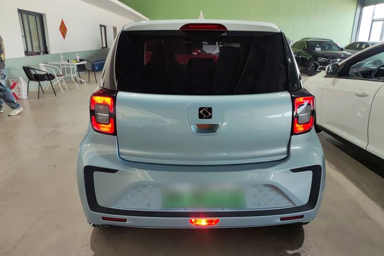 Used SOL E10X 2022 Flower Fairy Style Baby's Breath