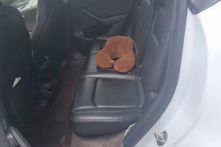 Used Tesla Model Y 2021 Standard Range Rear-Wheel Drive Version
