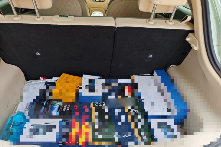 Used ORA Good Cat 2022 Morandi Edition 400km Standard Range Luxury Version Lithium Iron Phosphate