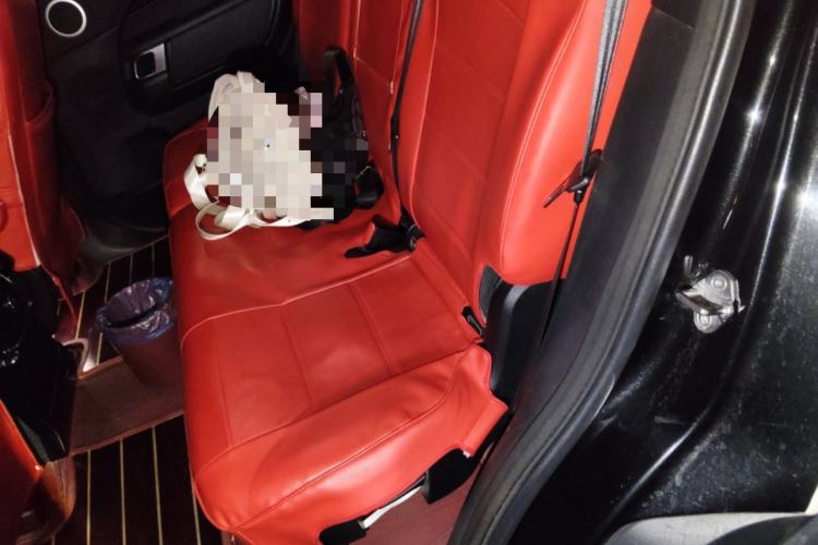 Used Land Rover Discovery 2018 3.0 SC V6 SE Left Rear Seat