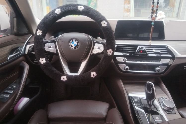 Used BMW 5 Series 2020 530Li Luxury Edition Premium Package