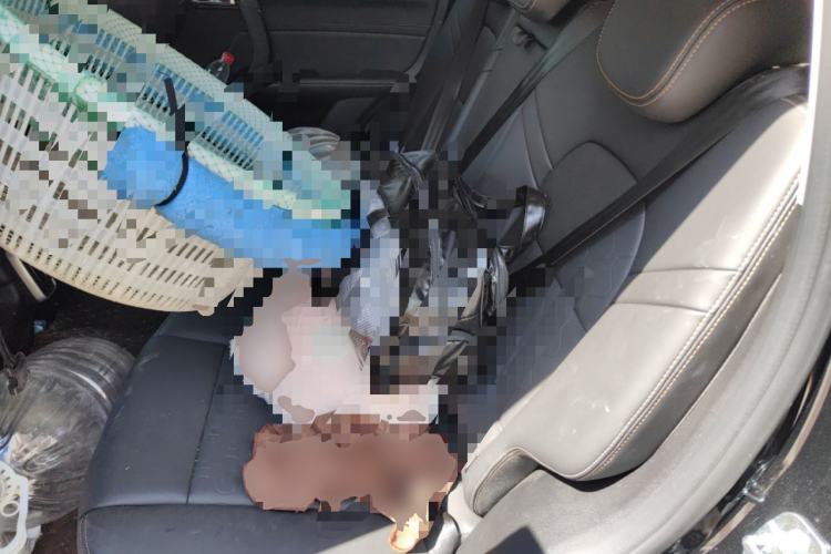 Used Haval DARGO 2022 1.5T DCT Two-Wheel Drive Border Collie Edition