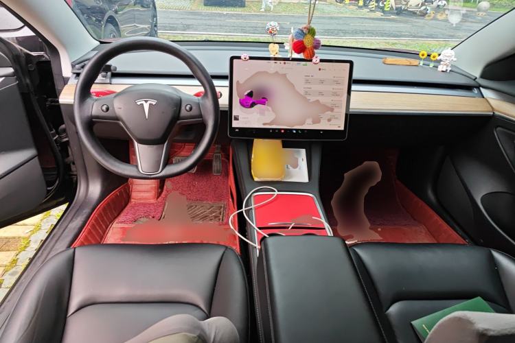 Used Tesla Model 3 2022 Rear-Wheel-Drive Version
