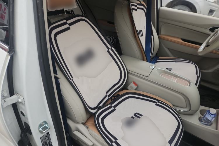 Used ORA Good Cat 2024 401 km Luxury Version