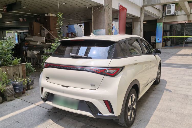 Used BYD Dolphin 2024 Honor Edition 420km Freedom Version Exterior 6