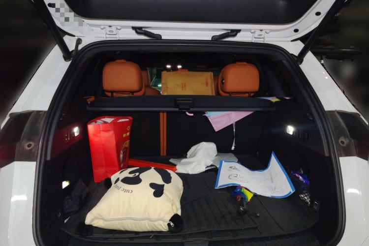 Used Li Auto L6 2024 Pro Model
