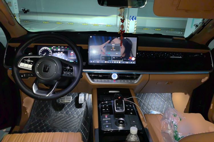 Used Tank 500 New Energy 2024 Hi4-T Center Console