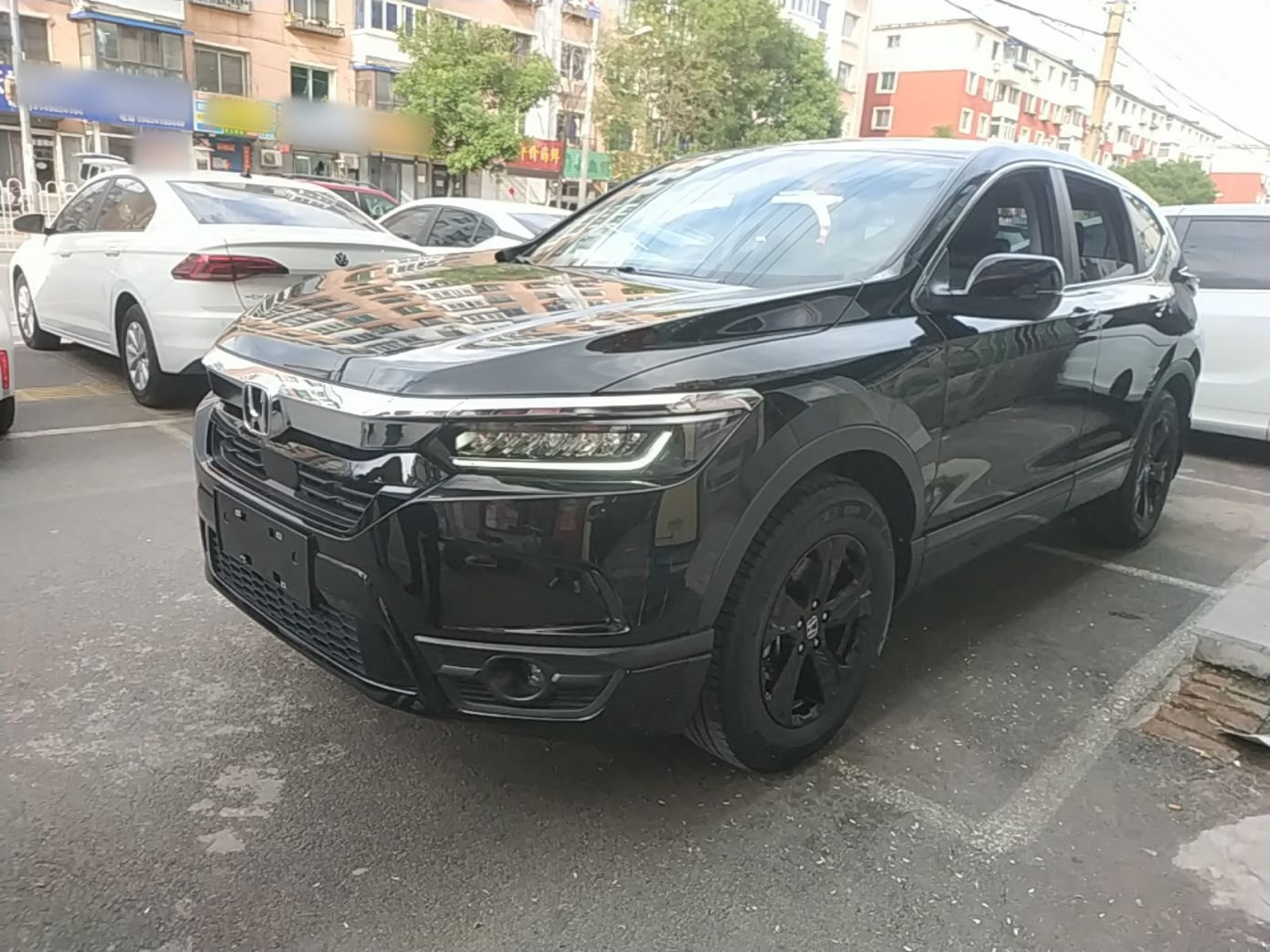 Parte inferior delantera