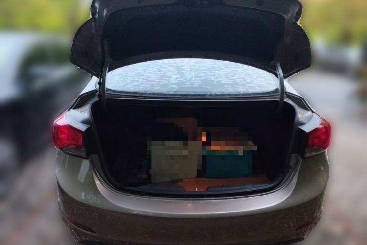 Used Hyundai Elantra (5th Generation / Langdong) 2016 1.6L Manual Luxury Model
