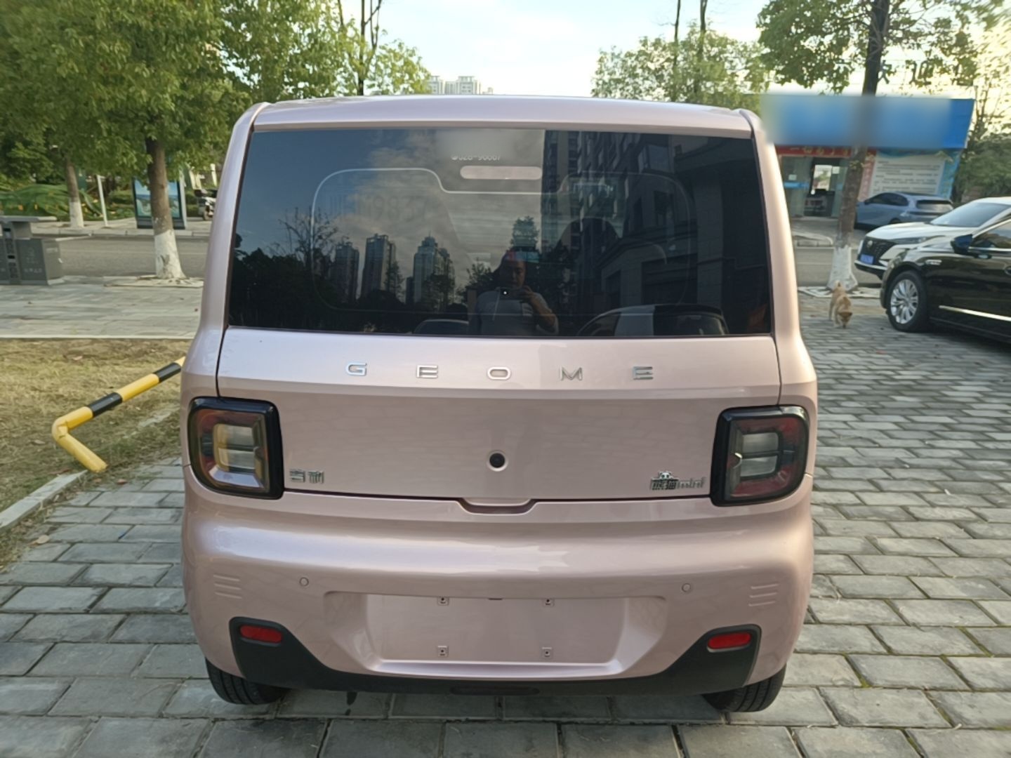 Geely Galaxy Panda 2023 Panda Mini 200km Endurance Bear — снимка 5