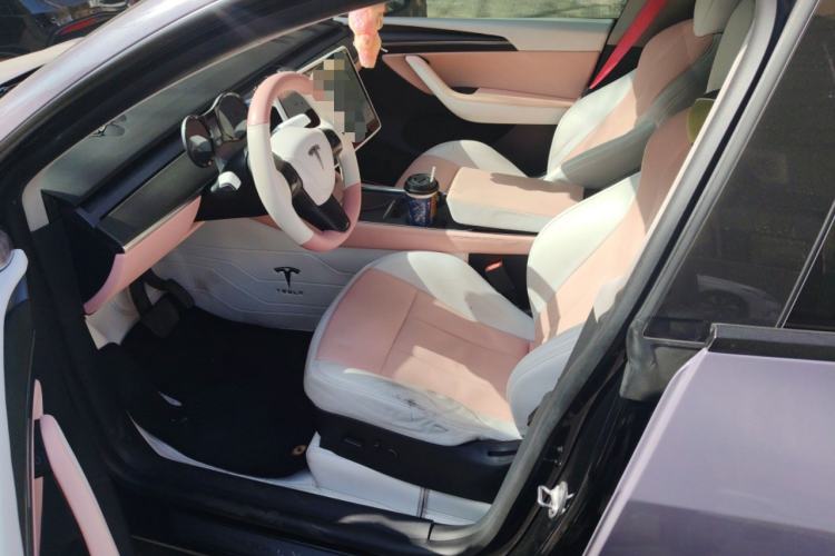 Used Tesla Model Y 2021 Standard Range Rear-Wheel Drive Version