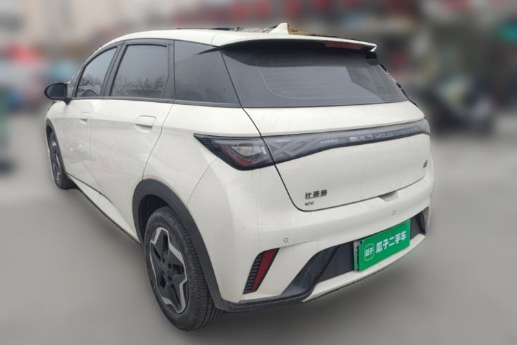 Used BYD Dolphin 2021 405 km Free Version