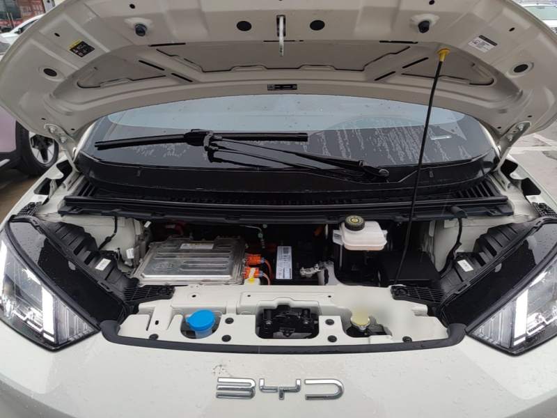 Used BYD Seagull 2023 Free Edition — 19