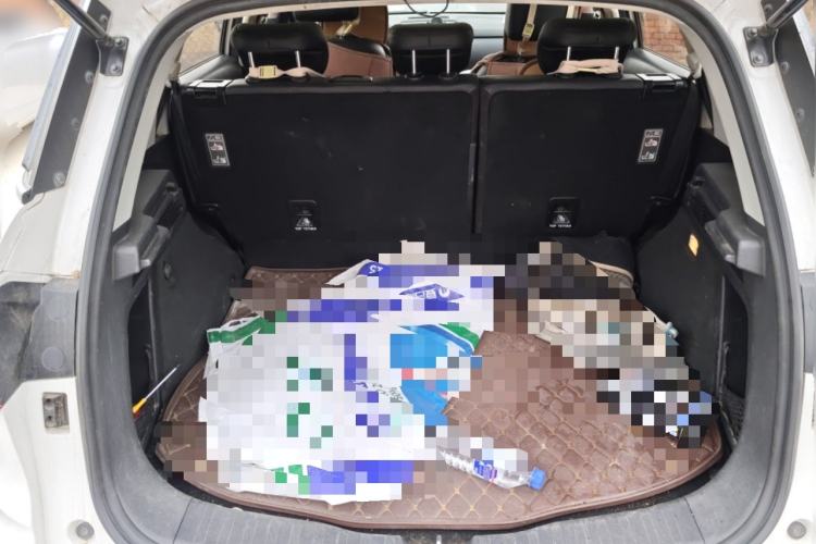 Used Haval H6 Coupe 2016 Blue Label 1.5T Manual Two-Wheel Drive Elite Model Trunk