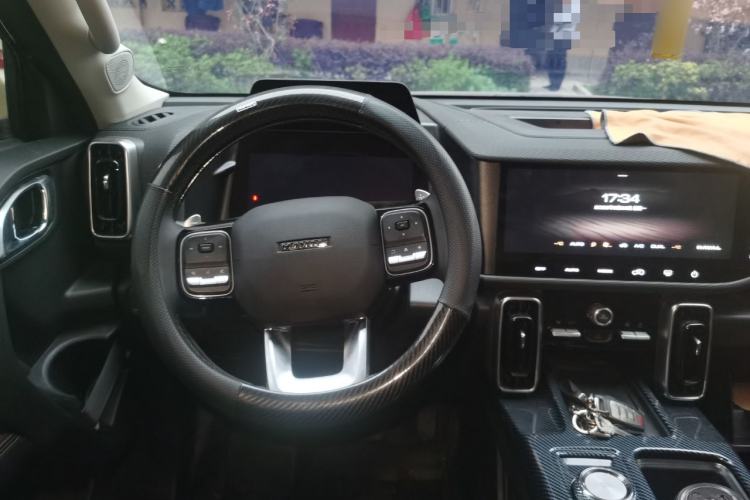 Used Haval DARGO 2024 2.0T DCT Chinese Rural Dog Edition
