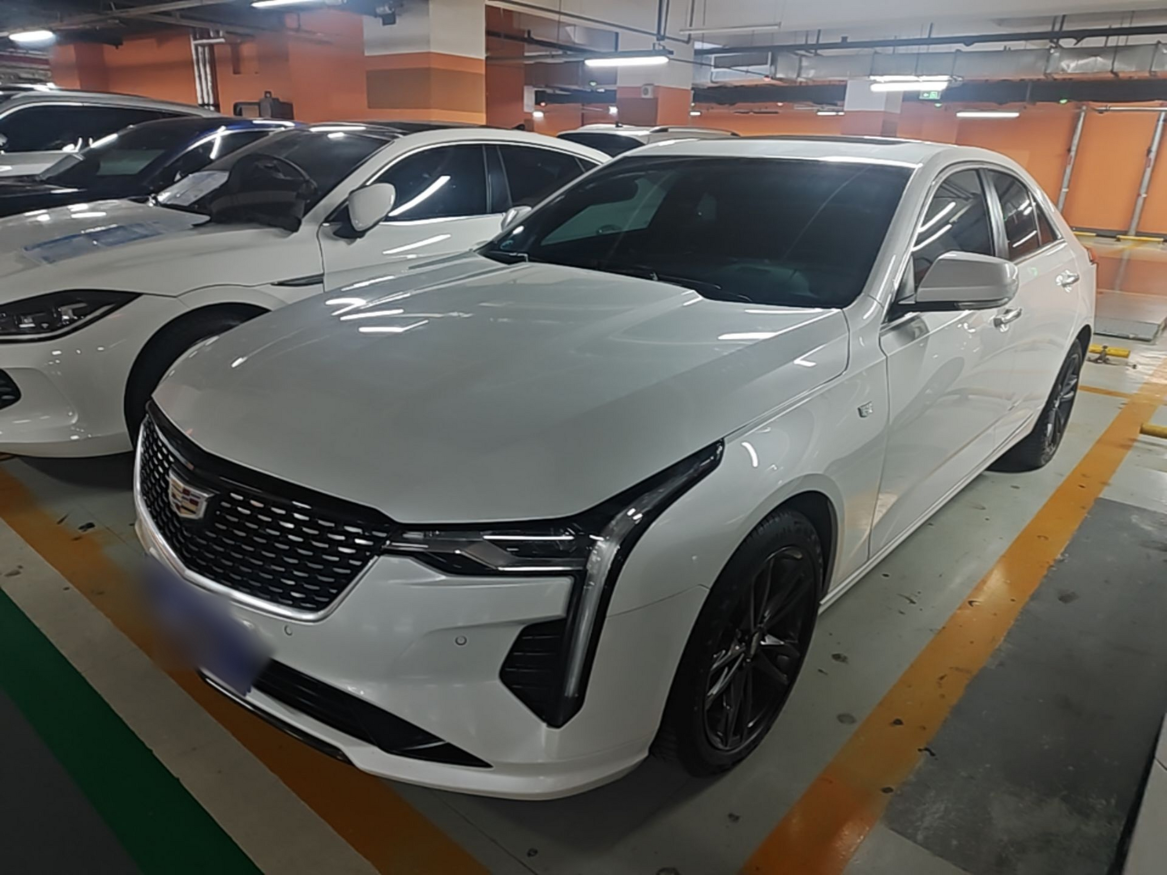 Under Front Bumper