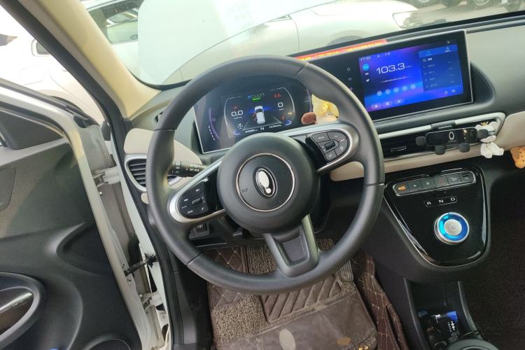 Used ORA White Cat 2022 Upgraded Model 305km Range Luxury Version Lithium-Ion Battery Steering Wheel