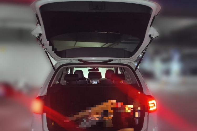 Used Volkswagen Golf Sportsvan 2020 280TSI Automatic Curious Model Trunk