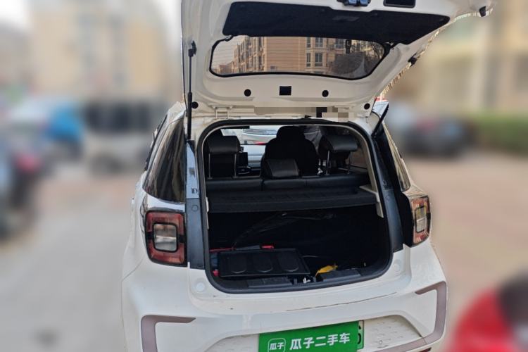 Used SOL E10X 2022 Flower Fairy Design Four-Leaf Clover