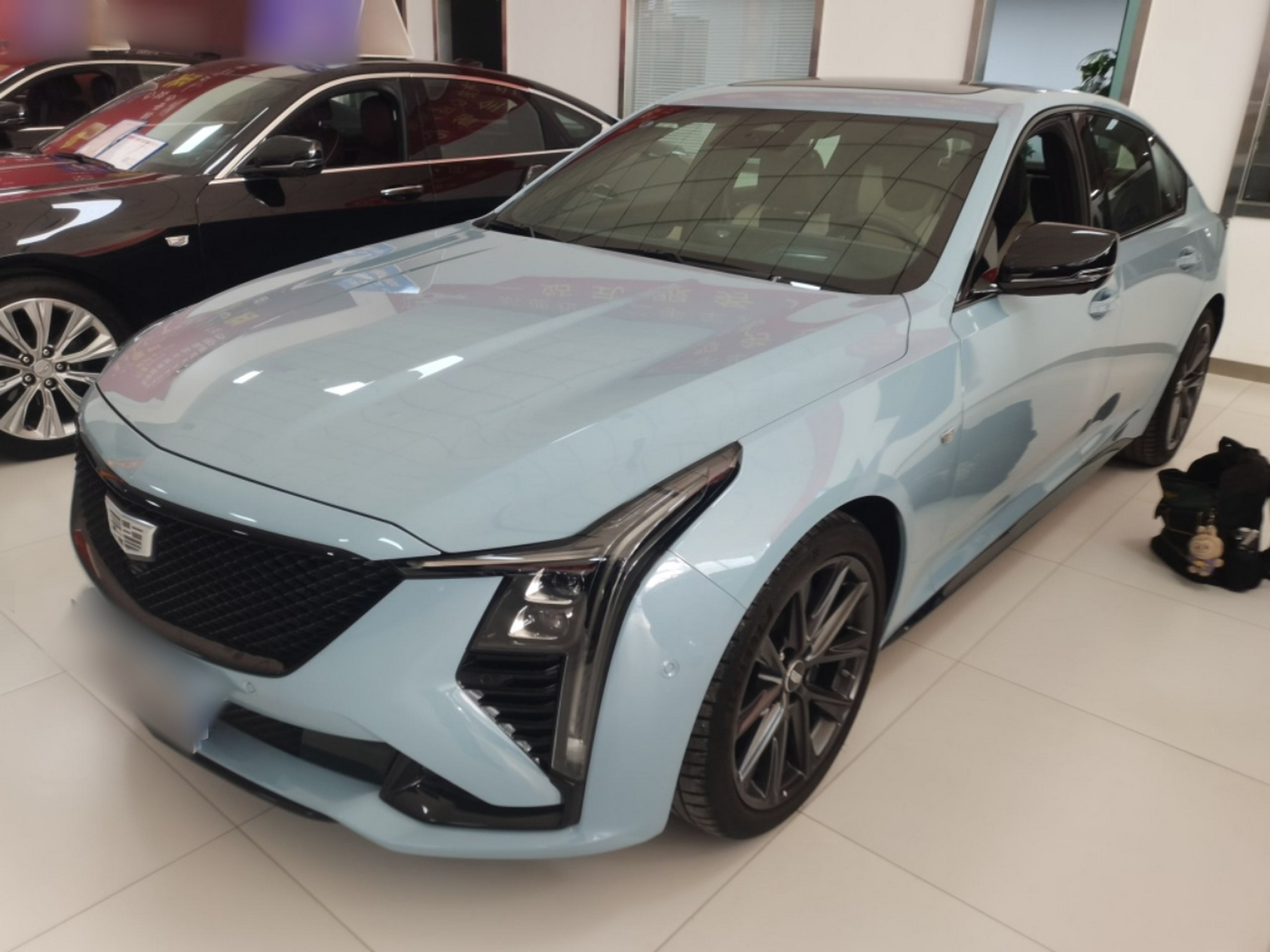 Parte inferior delantera