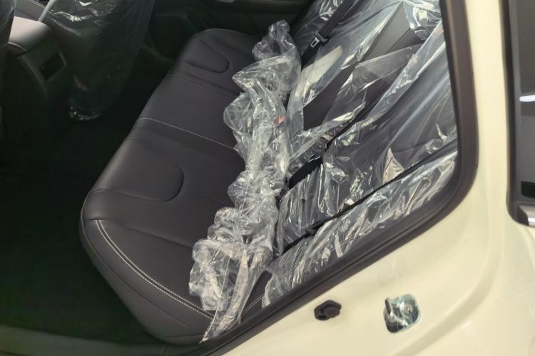 Used Venucia D60 2023 PLUS 1.6L XE CVT Trendy Edition Left Rear Seat