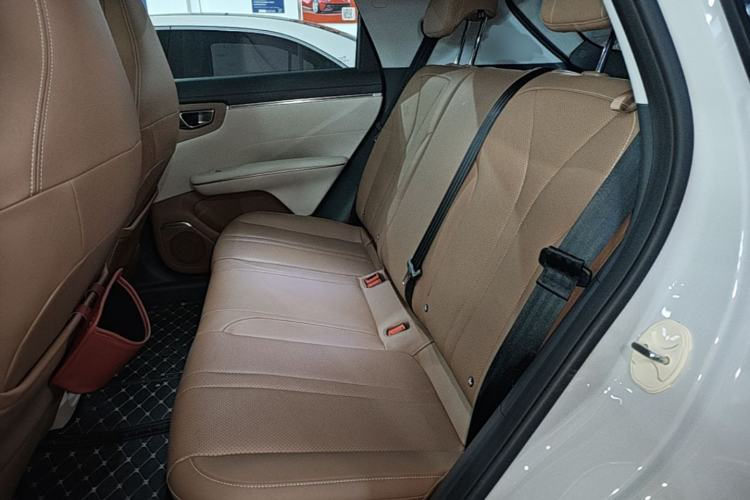 Used Wuling Bingo S 2025 Model 325km Deluxe Edition Left Rear Seat