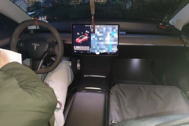 Used Tesla Model 3 2021 Performance High-Performance All-Wheel-Drive Version