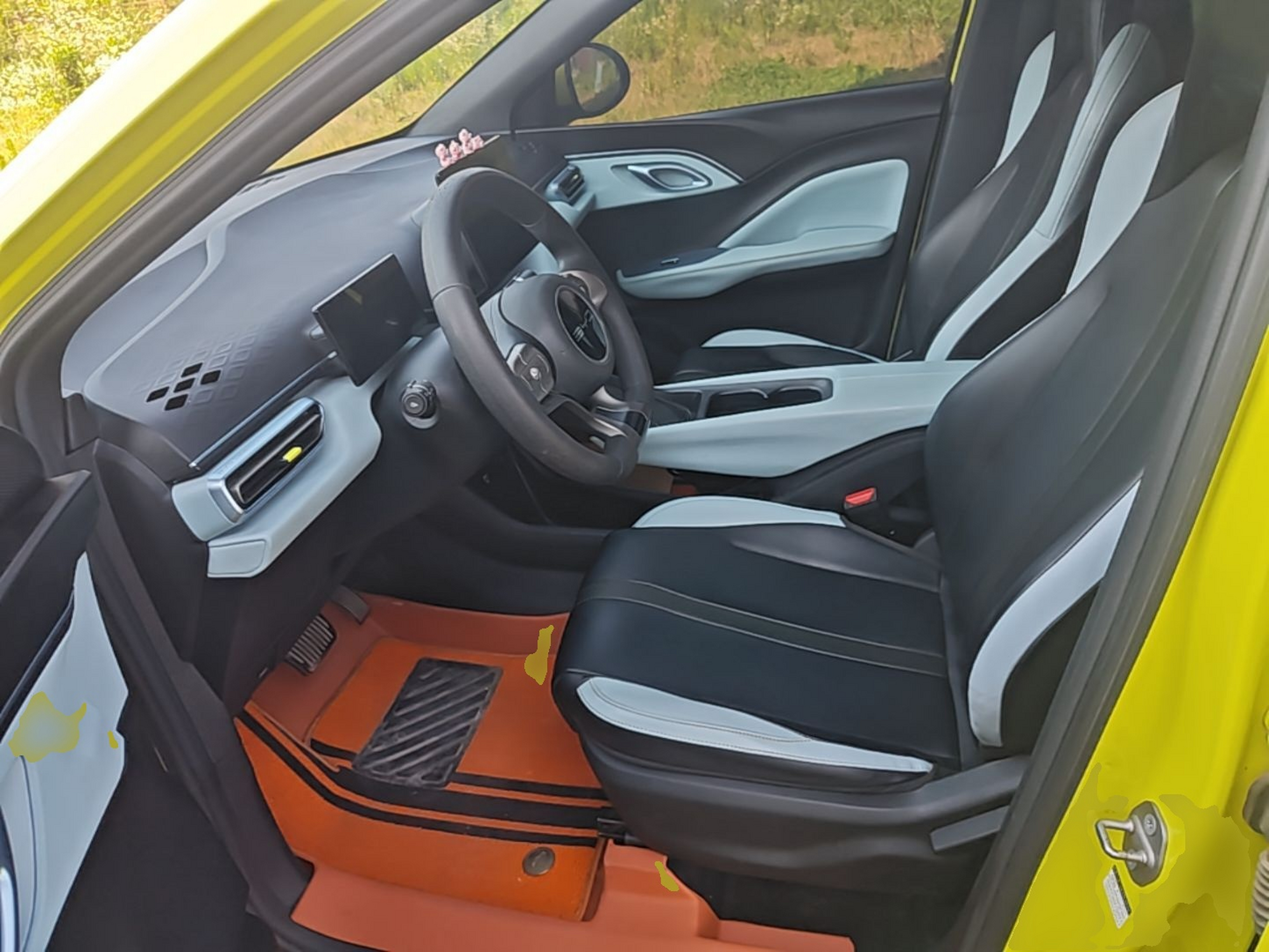 Interior delantero