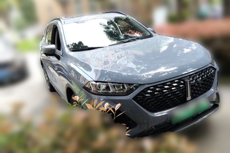 Used Wey Latte DHT-PHEV 2022 1.5T Two-Wheel Drive Big Cup
