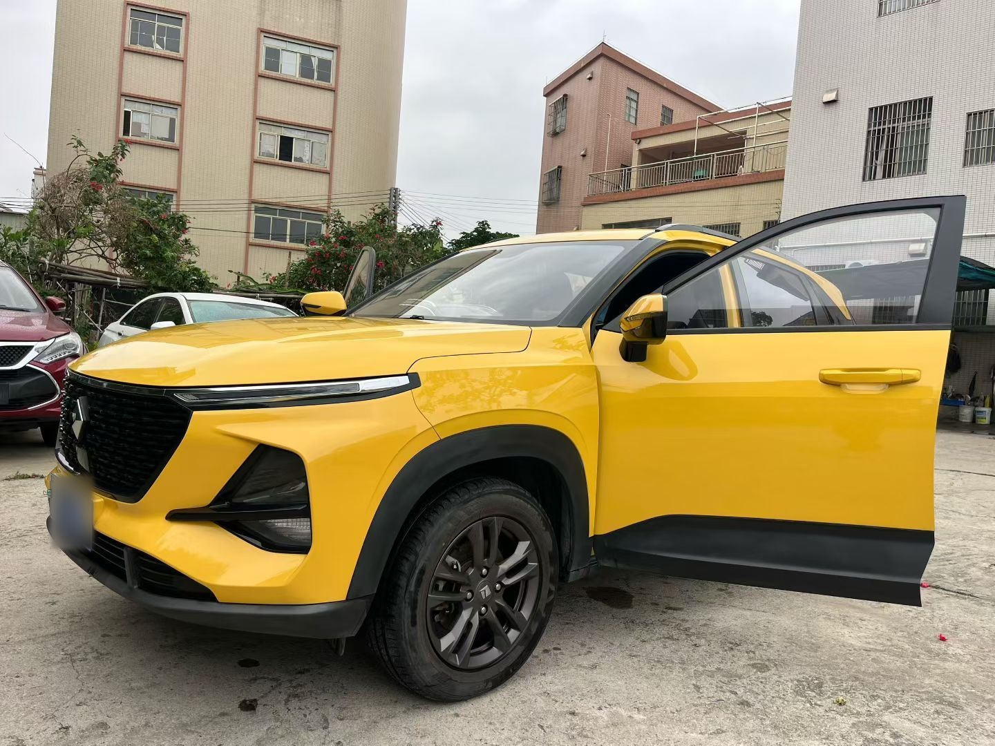 تحت مقدمة السيارة