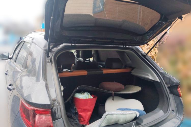 Used BYD e2 2021 Luxury Model
