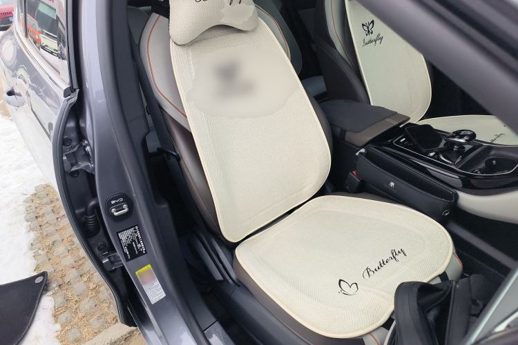 Used BYD Qin PLUS 2023 Champion Edition DM-i 55KM Superior Model