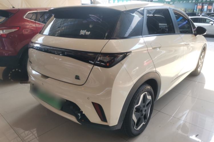 Used BYD Dolphin 2021 405 km Free Version