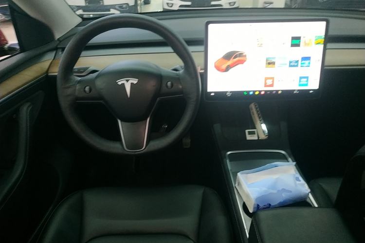 Used Tesla Model Y 2021 Long-Range All-Wheel-Drive Version