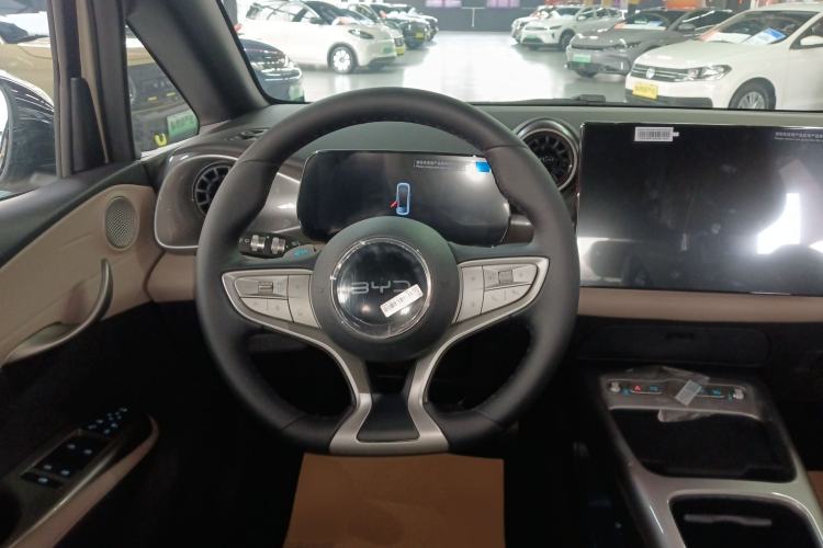 Used BYD Dolphin 2025 Smart Drive Version 420 km Freedom Edition
