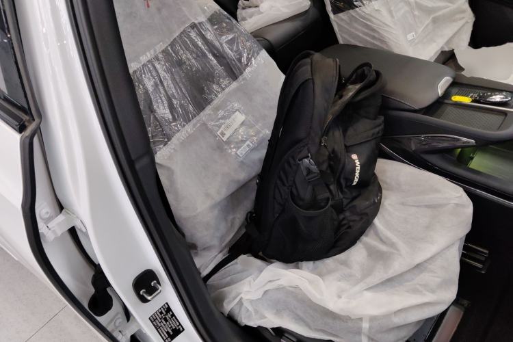 Used Hongqi EH7 2024 640 Pro+ All-Wheel Drive Right Front Seat