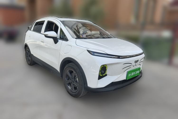 Used Geometry E Firefly 2023 401KM Linglong Tiger 5-Seater Front Right 45 Deg