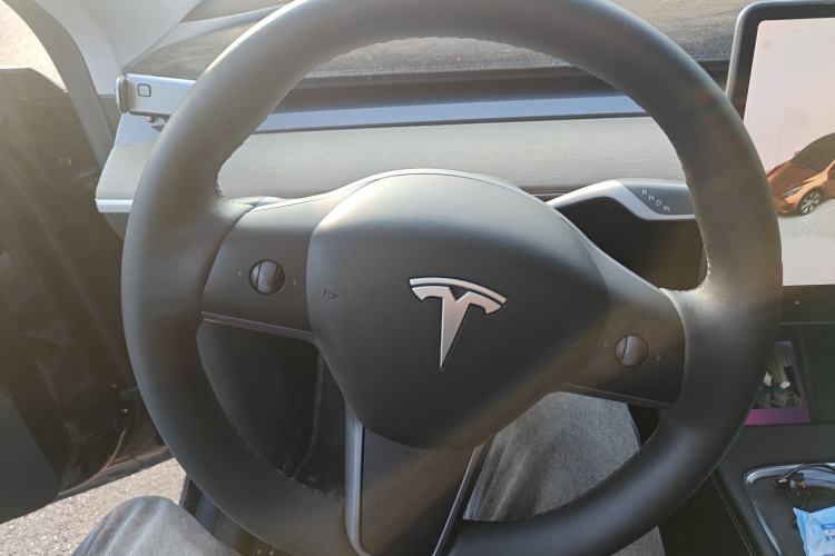 Used Tesla Model Y 2022 Rear-Wheel-Drive Version