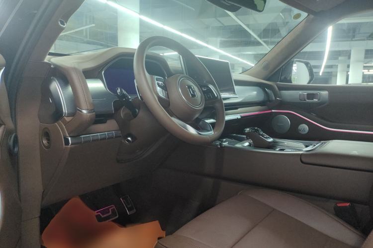 Used Tank 700 New Energy 2024 Hi4-T Extreme Edition Driver Seat