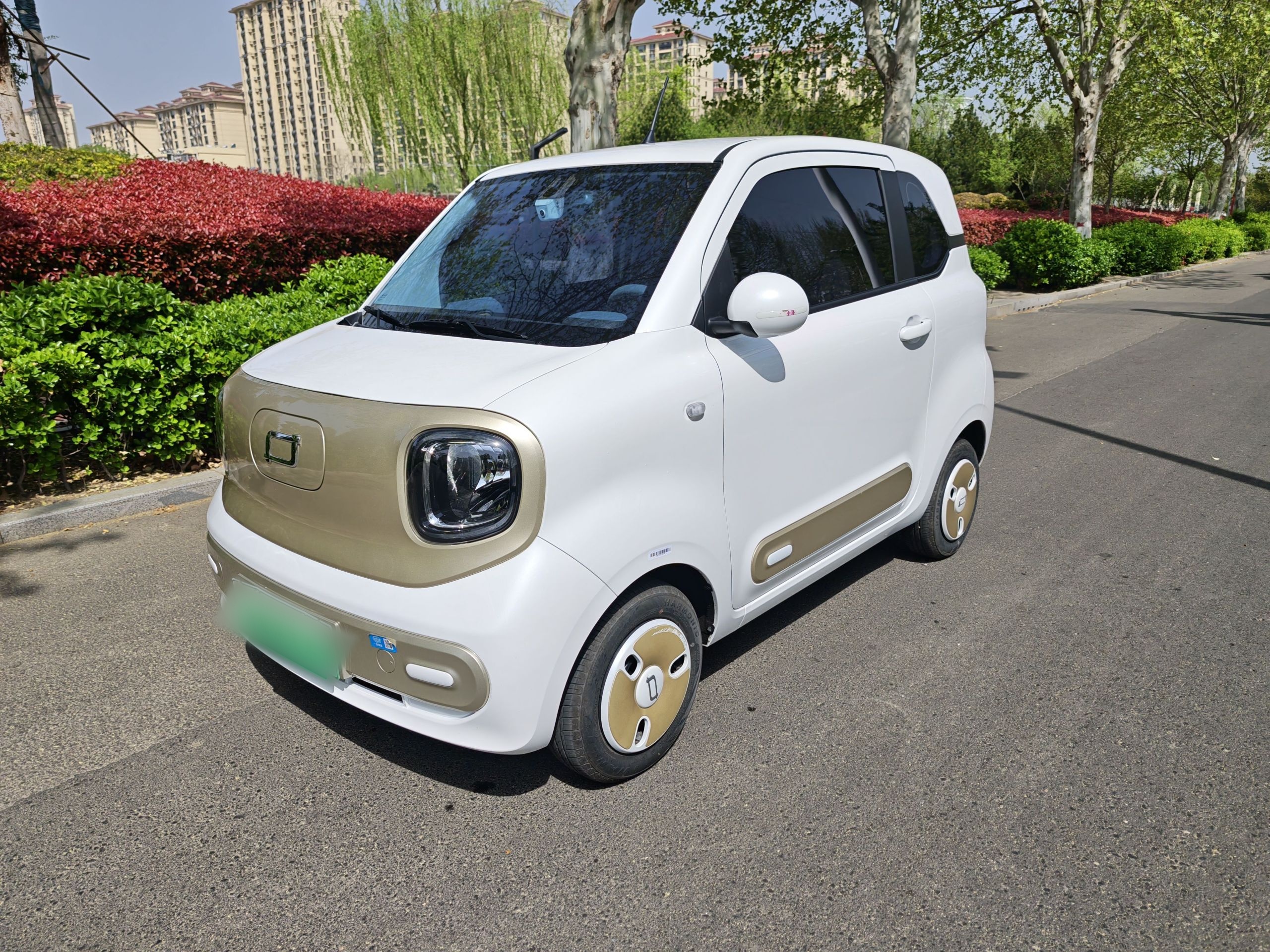 Parte inferior delantera