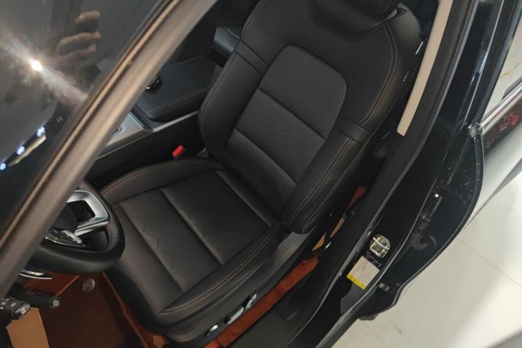 Used Haval DARGO 2024 2.0T DCT Chinese Rural Dog Edition
