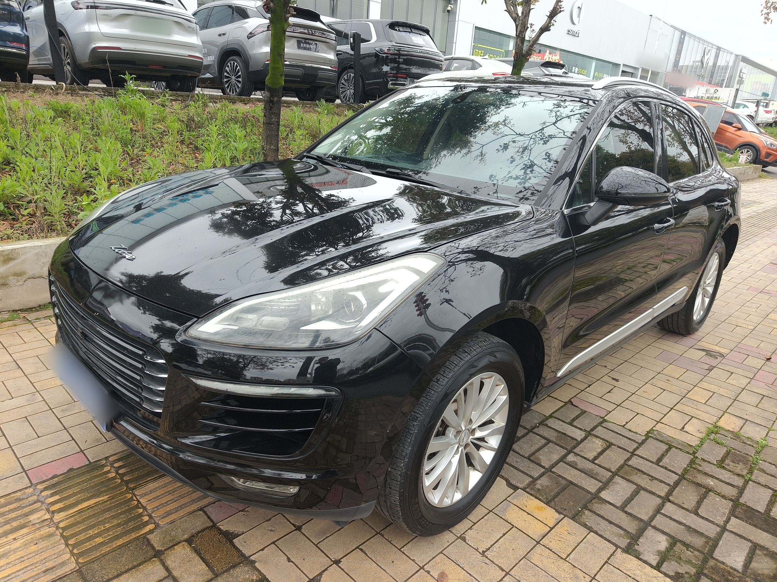 Parte inferior delantera