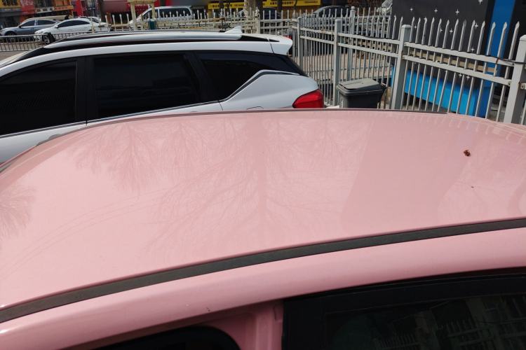 Used NETA V 2021 Witch Edition Roof