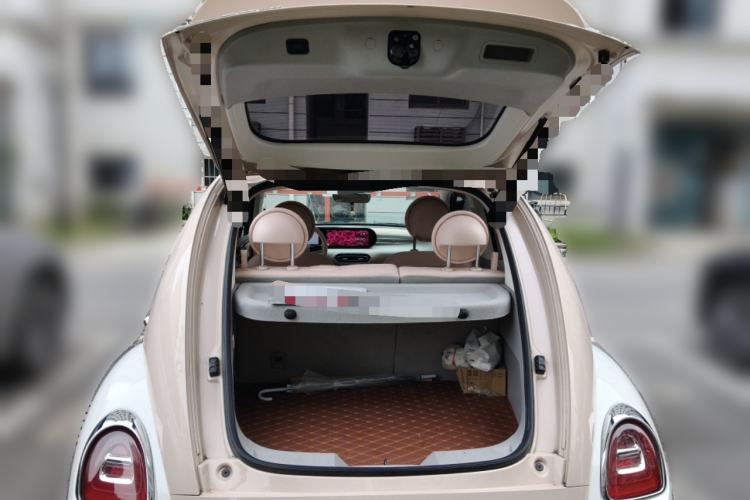 Used ORA Ballet Cat 2022 500 km Swan Lake Edition