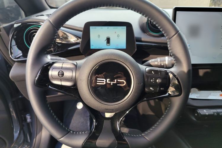 Used BYD Dolphin 2025 420km Free Edition